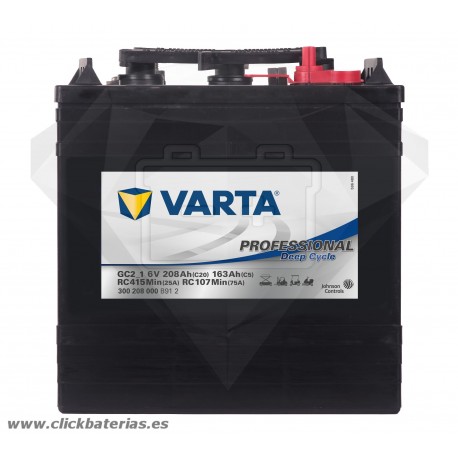 Batería de Caravana y Barco Varta Professional GC 2_1