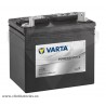 Batería de máquina de jardín Varta Powersports Gardening U1(9)